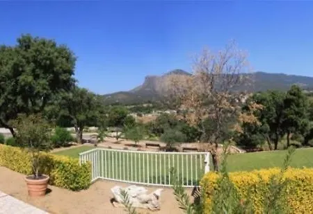 Dicieppo Ajaccio (Corsica)