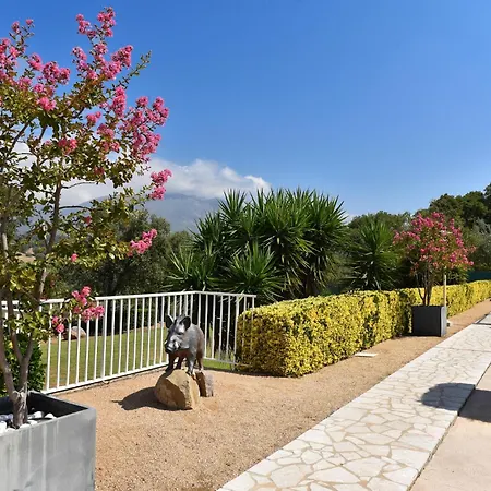 Dicieppo Hotel apartamentowy